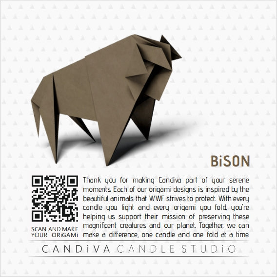 Origami Image