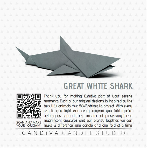 Origami Image