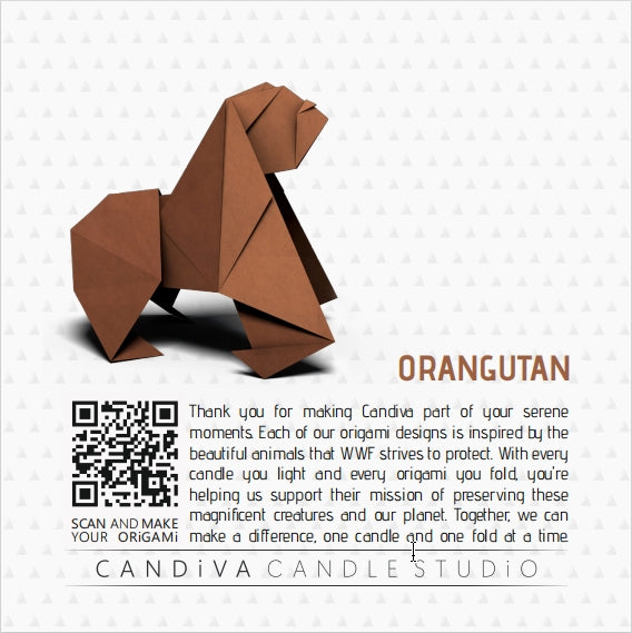 Origami Image